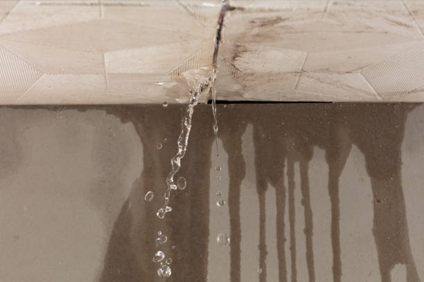 Professional Structural Drying technician working in Cologne, NJ